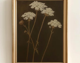 May include: A framed painting of dried white Queen Anne's Lace flowers against a dark brown background.