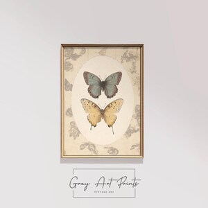 Vintage Butterfly Wall Art Print - Botanical Insect Specimen Illustration, Cottagecore Nature Decor, Rustic Naturalist Artwork 219