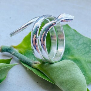 May include: A silver-colored ring with a snake design. The ring wraps around the finger with a smooth, polished finish. The snake's head is at the top, and the ring is resting on a green leaf.