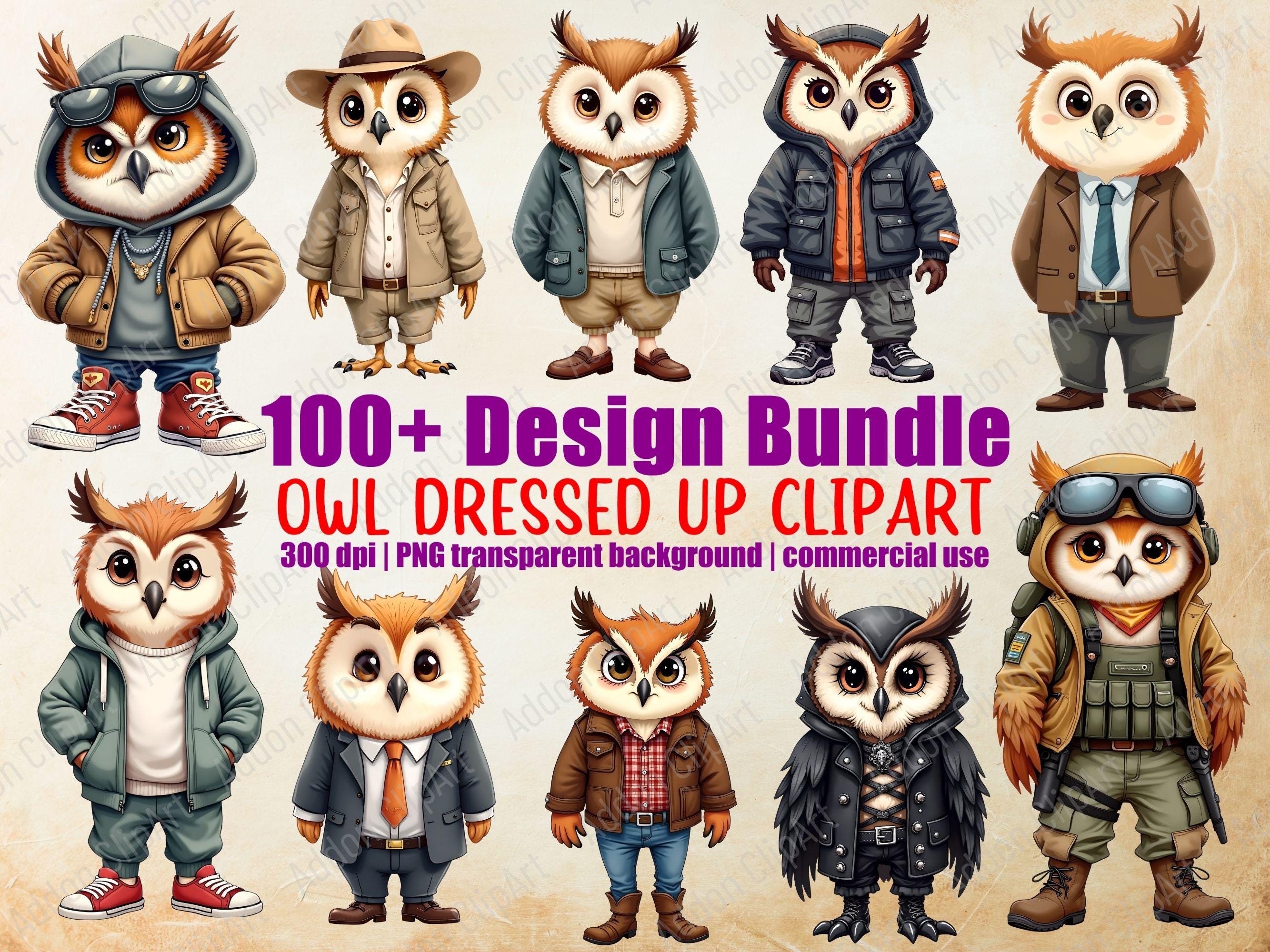 Owl Dressed Up Outfits Clipart Cartoon PNG Bundle Printable Nursery Animal Clipart Digital Download 