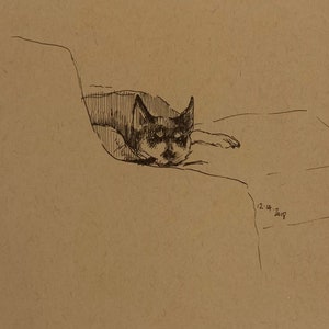 Pixie is Watching You