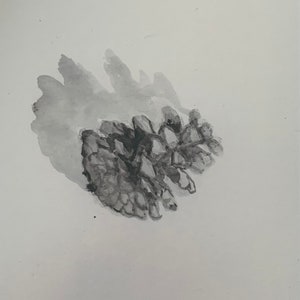 Pinecone 6.24.2020