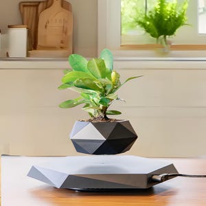 May include: A black geometric planter with a green plant inside is levitating above a black geometric base. The base has a cord attached to it.