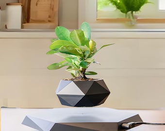 Vaso magnético levitante para plantas – Vaso flutuante para bonsai para plantas de interior, decoração moderna e exclusiva para casa