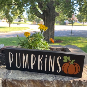 Hand Painted Pumpkins Wood Sign - Black Farmhouse Fall Decor