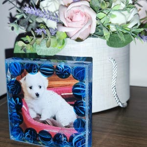 Puede incluir: Un bloque de resina transparente con una foto de un cachorro blanco en una cama rosa, enmarcado por elementos decorativos azules. Un ramo de rosas rosas y blancas, lavanda y vegetación en el fondo.