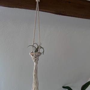 May include: A white macrame plant hanger with a wooden bead at the top and a small air plant in the centre. The hanger is hanging from a wooden beam.