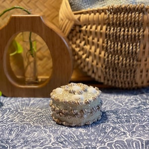 Beaded Sea Shell Covered Metal Jewelry or Trinket Box