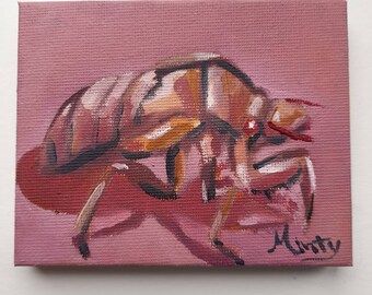 Cicada Husk Study in oil