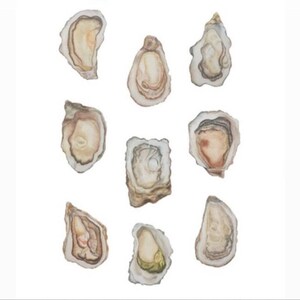 The Salty Nine - Fine Art Print