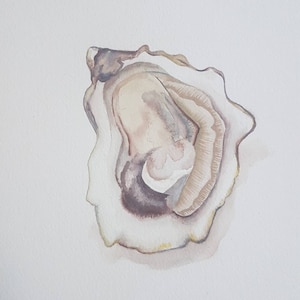 Original Oyster Watercolour Painting