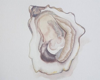 Original Oyster Watercolour Painting