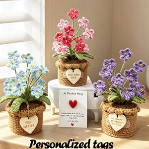 Fleurs de myosotis au crochet faites à la main, panneau personnalisé, fleur amigurumi « Éclosion éternelle », décoration intérieure, plante de soutien émotionnel, cadeaux pour elle/maman