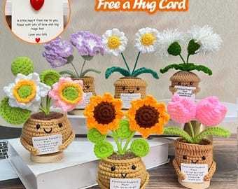 May include: A collection of handmade crochet flowers in small pots. The flowers include daisies, sunflowers, and tulips, with green leaves and brown pots. Each pot has a smiling face and a small card that says "Emotional Support Plant". A card that says "A Pocket Hug" is also included.