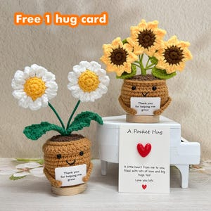 Handmade Crochet Sunflower&Daisy Plants,Free a hug card,Helping me grow,Office desk decor,Back to school,Thank you gift for boss/teacher/her