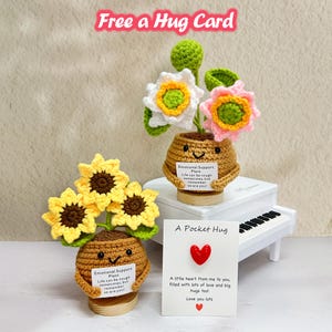 Handgemachte gehäkelte Sonnenblume und Lotus Topfpflanzen, Free a hug Karte, Pflanzen zur emotionalen Unterstützung, Sonnenblume im Topf häkeln, Schreibtischdekoration, Geschenke für sie