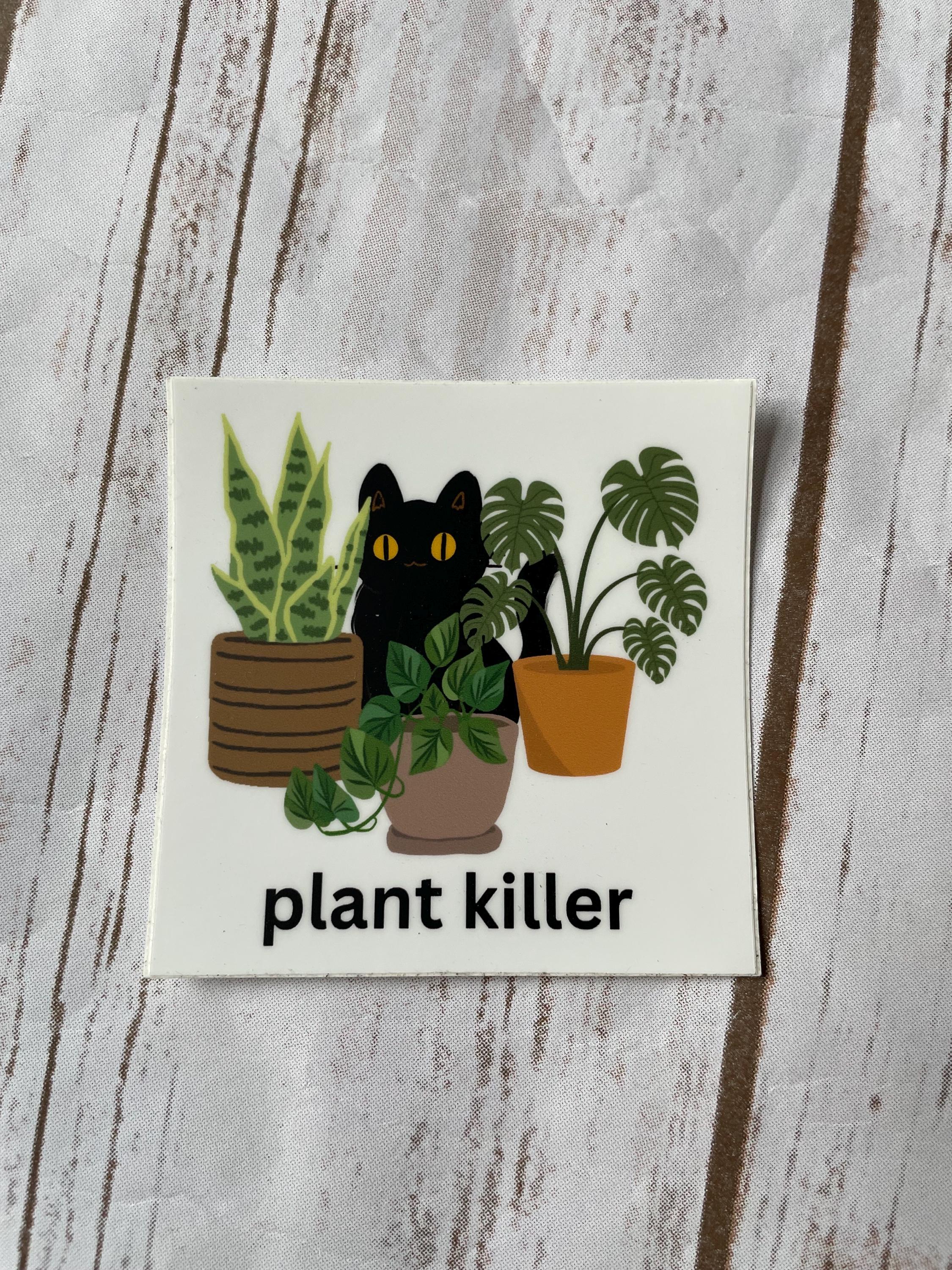 Cat Lover Sticker Set: 3-inch Vinyl Decals for Laptop, Water Bottle - Etsy