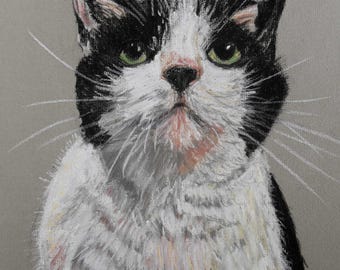 Portret zwierzaka na zamówienie: Rysunek pastelowy ze zdjęcia, grafika A3