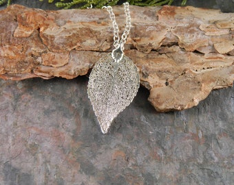 Silver Laurel Leaf Necklace on 36 inch chain, Electroplated Real Leaf, Symbol of Immortality, Long Leaf Necklace
