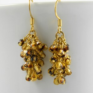 May include: Gold dangle earrings with a cluster of brown and gold glass beads.