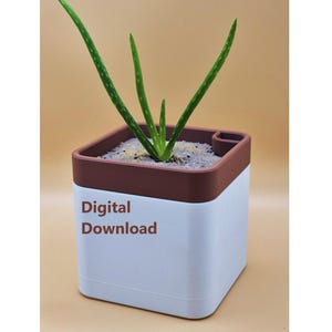 Puede incluir: Un macetero impreso en 3D blanco y marrón con una pequeña planta de aloe vera creciendo en su interior. El macetero tiene un pequeño agujero en el lateral y el texto "Descarga digital" está impreso en la parte delantera.