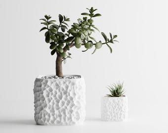 Geomorphic Planter "OBSIDIAN" – A Striking 3D Printed Pot for Elevated Indoor Gardens | Sculptural Centerpiece &  Gift for Modern Living