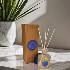 Poseidon Reed Diffusor: Zitrus, Kräuter & Holzig Raumduft Geschenk