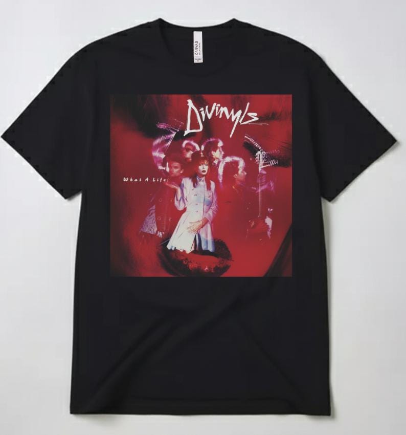 レア⭐︎Divinyls Live DVD 1993年収録 ディヴァインルズ 2026年最新