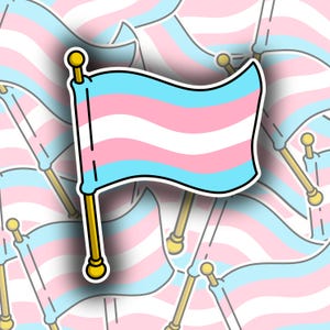 Sticker vlag transgender Pride | Holografisch | Accessoire | Waterdicht | Trots | Trans | Vlag | Trots | Zichtbaar | Jij | Mensenrechten | Vechten