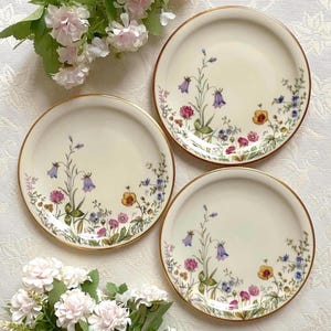 Preço referente a 1 prato. Cena K: Lindo motivo de flores silvestres. 17 cm de diâmetro. Porcelana branca. Prato para bolo/sobremesa Krautheim com borda dourada.