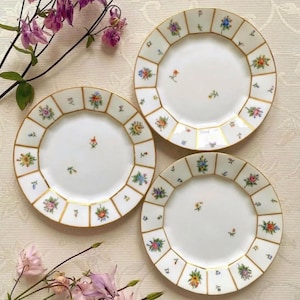 Price is for 1 Plate. Rare Collectible Royal Copenhagen Hand Painted Henriette Floral. 16 cm Diameter Assorted 1920-1930s Cake/Side Plate