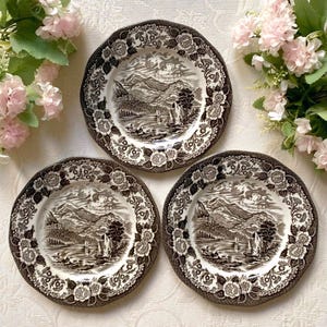 El precio es por 1 plato. Plato para pastel/acompañamiento Lochs of Scotland de 17 cm de diámetro, marca Enoch Wedgwood, color marrón y blanco roto. Estilo vintage inglés Loch Katrine.