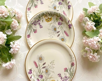 Price is for 1 Plate. Scene G Krautheim Wiesengrund Bergeshöh'n Bavaria 17 cm Diameter Cake/Side Plate. Wildflower Motive and Gold Trim