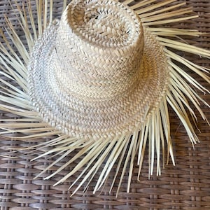 May include: A natural straw hat featuring a woven crown and a wide brim. The brim is decorated with long, thin, straw-like extensions, creating a fringed effect. The hat is set against a textured, brown woven background.