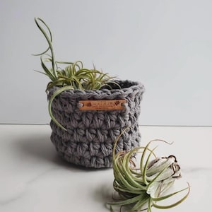 Puede incluir: Una maceta de crochet gris con una etiqueta de madera que dice "Wild Things". La maceta está llena de plantas de aire.