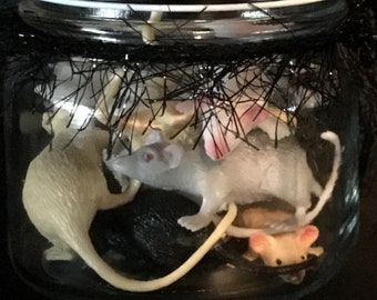 Halloween Prop Mason Jar With Baby Rats