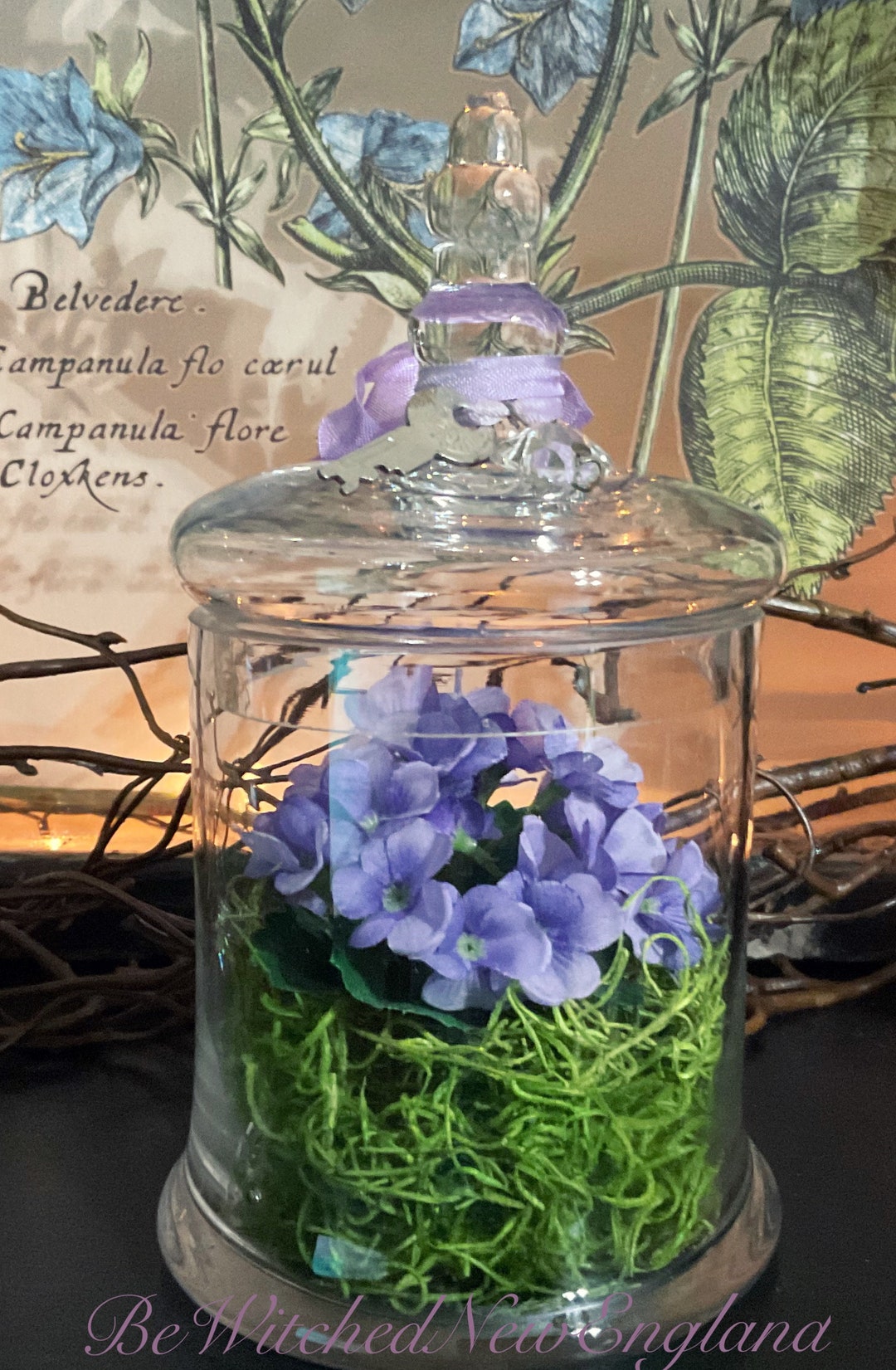 Vintage Glass Terrarium Apothecary Jar Purple Hydrangea Moss Etsy