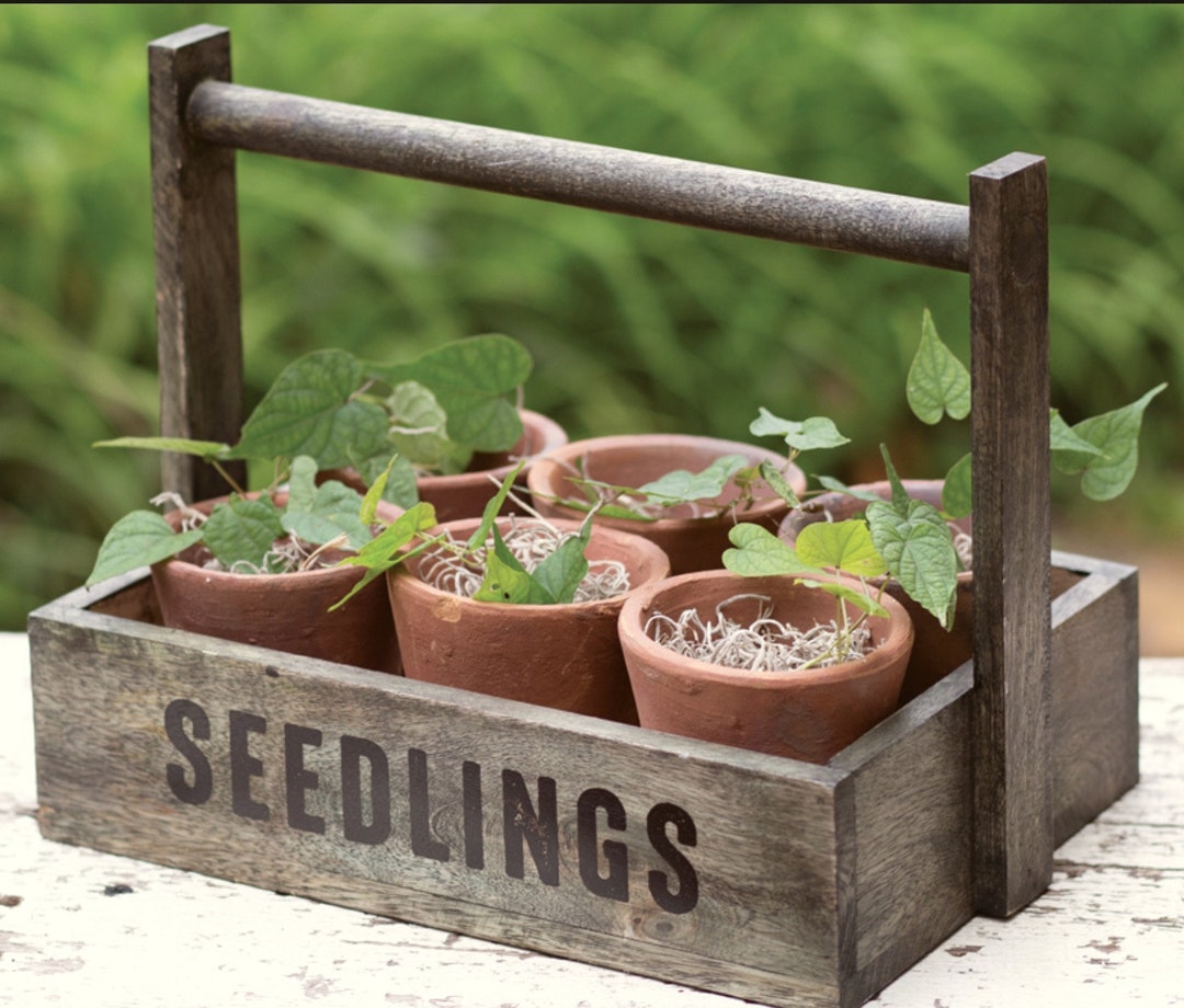 Farmhouse Rustic Wood Caddy Garden Caddy Herb Flower Box Etsy