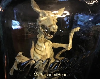 XL Halloween Prop Rat Skeleton Mason Jar Rat Specimen