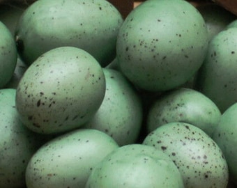 Set Of 6 Teal Blue Green Speckled Bird Eggs 3/4”- 1” Bird Nest Eggs