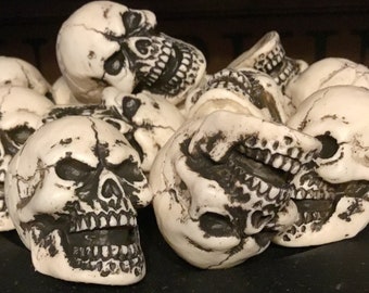 Set 6 - 2” Skull Head Halloween Prop Halloween Skull Bowl Fillers