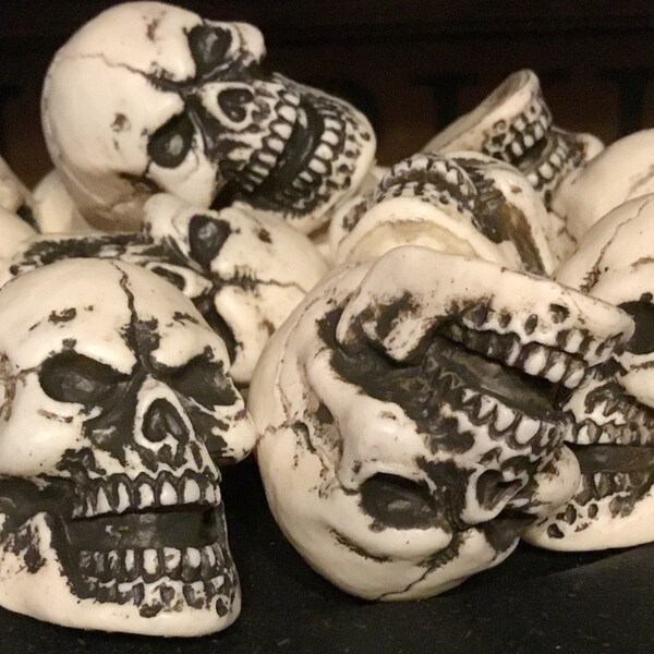 Set 6 - 2” Skull Head Halloween Prop Halloween Skull Bowl Fillers