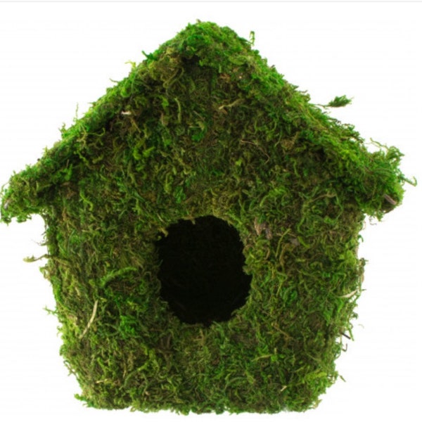 7” Rustic Farmhouse Birdhouse Spring Moss Birdhouse