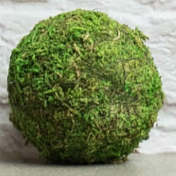 3” Natural Rustic Farmhouse Moss Balls Bowl Filler Tiered Tray Decor