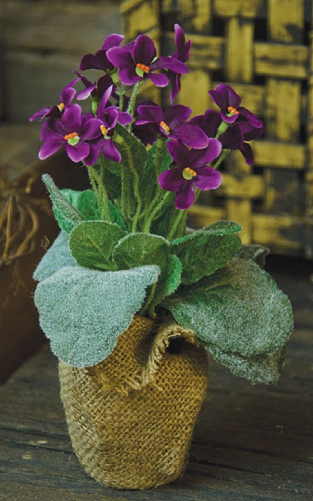 Potted Purple Violets Burlap Wrapped Pot Planter Etsy