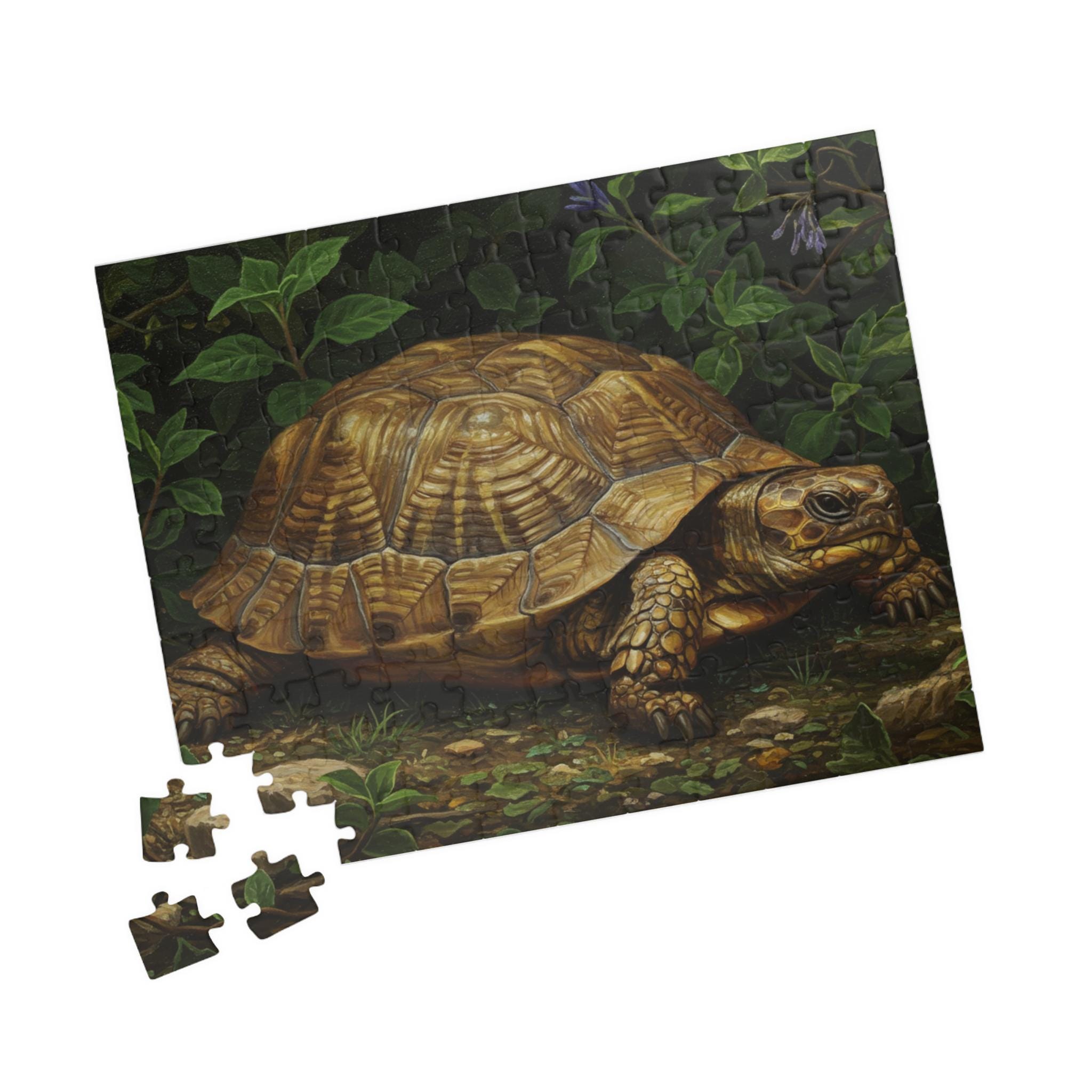 サンスキー  LAGO(ラゴ)  ONE SIZE  TORTOISE ROSE il_fullxfull.6718036854_kol8.jpg