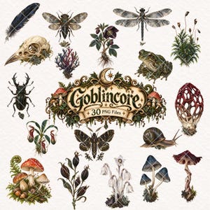 Goblincore Clipart, Mushroom, Fungi, Forest Creatures, Dark Cottagecore, Botanical, Nature y PNG