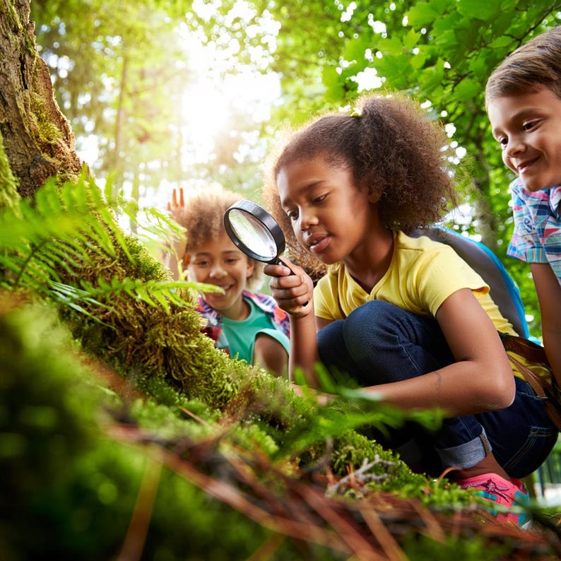 Editable Nature Scavenger Hunt for Kids | Printable Outdoor Game ...