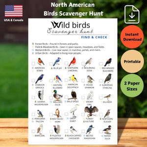 Bird Scavenger Hunt Nature Study And Wildlife Birds Exploration Montessori Learning Outdoor Kids Games And Nature Trail Pack For Homeschool