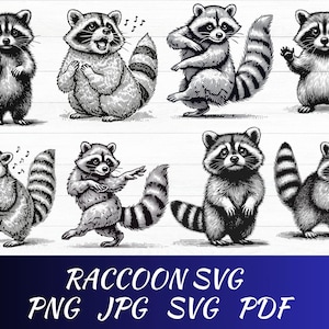 Raccoon SVG, Raccoon Clipart, Raccoon Cut Files, Raccoon Silhouette, Cute Raccoon Svg, Peeking Raccoon Svg, Animal Cricut, Instant Download